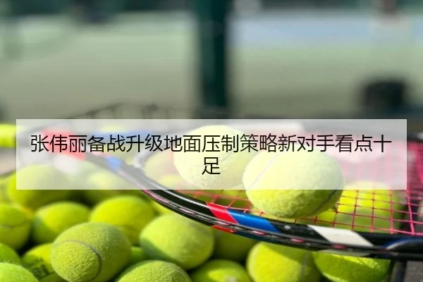 张伟丽备战升级地面压制策略新对手看点十足